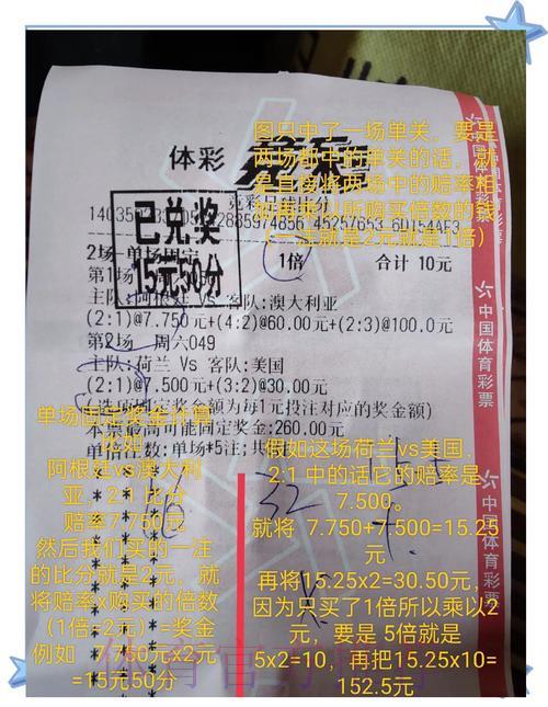 世界杯竞彩：多样化投注策略的优势与风险